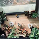 Kazimierz-good Vibes For 7 People! * Krakkó