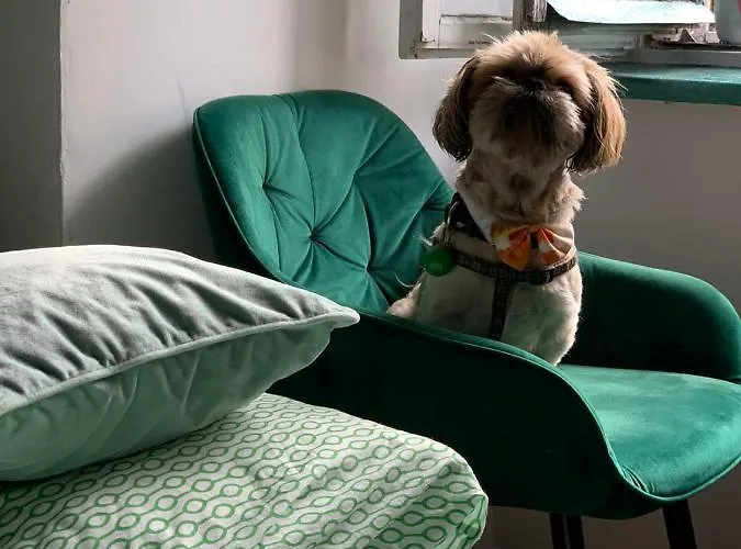 Kazimierz-good Vibes For 7 People! Krakau